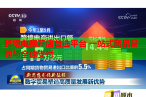 跨境电商开店首选平台 一站式商品管理与全球支付