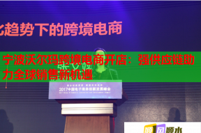 宁波沃尔玛跨境电商开店：强供应链助力全球销售新机遇