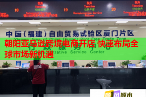 朝阳亚马逊跨境电商开店 快速布局全球市场新机遇