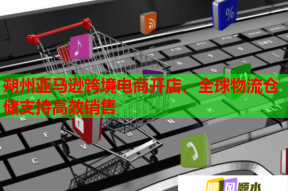 朔州亚马逊跨境电商开店，全球物流仓储支持高效销售