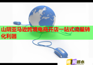 山阴亚马逊跨境电商开店一站式流量转化利器