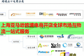 上海亚马逊跨境电商开店全球市场与物流一站式服务