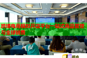 跨境电商模拟开店平台一站式商品管理与全球销售