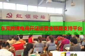 东莞跨境电商开店运营全链路支持平台