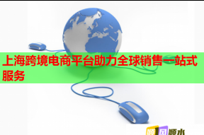 上海跨境电商平台助力全球销售一站式服务