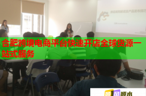 合肥跨境电商平台快速开店全球货源一站式服务
