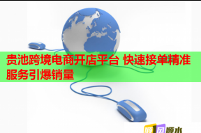 贵池跨境电商开店平台 快速接单精准服务引爆销量