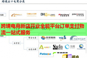 跨境电商新店开业全能平台订单支付物流一站式服务