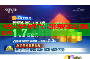 低投入跨境电商平台轻松开店享全链路服务