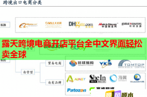 露天跨境电商开店平台全中文界面轻松卖全球