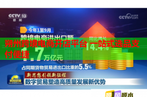 朔州跨境电商开店平台 一站式选品支付便捷