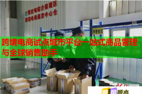 跨境电商试点城市平台一站式商品管理与全球销售助手