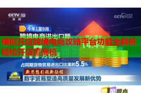 模拟开店跨境电商攻略平台功能全解析轻松开店赢商机