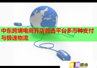 中东跨境电商开店首选平台多币种支付与极速物流