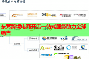 东莞跨境电商开店一站式服务助力全球销售