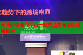 天津跨境电商平台一站式通关与智能服务优势