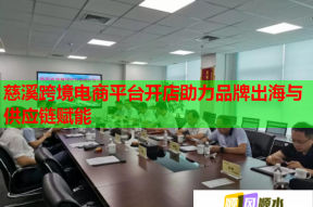 慈溪跨境电商平台开店助力品牌出海与供应链赋能