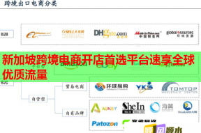 新加坡跨境电商开店首选平台速享全球优质流量