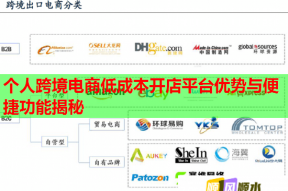 个人跨境电商低成本开店平台优势与便捷功能揭秘