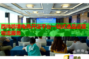 西帅跨境电商开店平台一站式选品运营物流服务