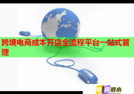 跨境电商成本开店全流程平台一站式管理