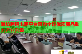 潍坊跨境电商平台直购全球优质商品助力产业升级