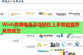 Wish跨境电商开店轻松上手智能推荐高效成交