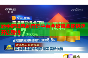 新手跨境电商首选平台全攻略助你快速开店赚钱