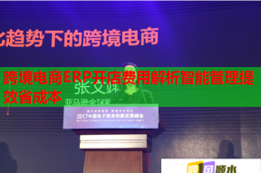 跨境电商ERP开店费用解析智能管理提效省成本