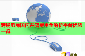 跨境电商国内开店费用全解析平台优势一览