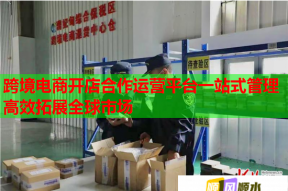 跨境电商开店合作运营平台一站式管理高效拓展全球市场