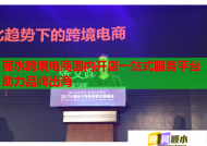 丽水跨境电商国内开店一站式服务平台助力品牌出海