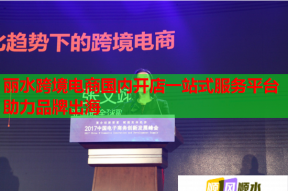 丽水跨境电商国内开店一站式服务平台助力品牌出海