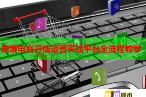 跨境电商开店运营实战平台全流程教学