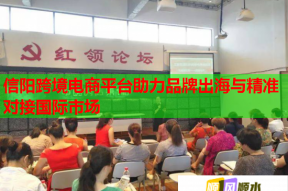 信阳跨境电商平台助力品牌出海与精准对接国际市场
