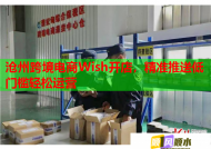 沧州跨境电商Wish开店，精准推送低门槛轻松运营