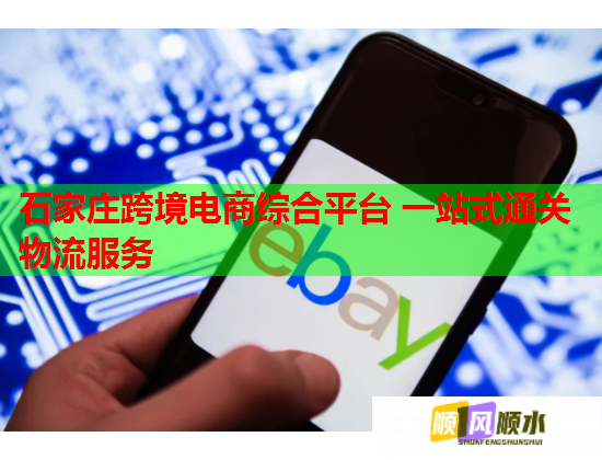 石家庄跨境电商综合平台 一站式通关物流服务  第2张