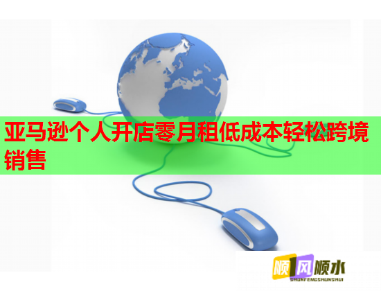 亚马逊个人开店零月租低成本轻松跨境销售  第1张