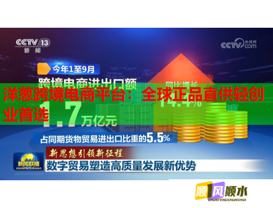 洋葱跨境电商平台：全球正品直供轻创业首选  第2张