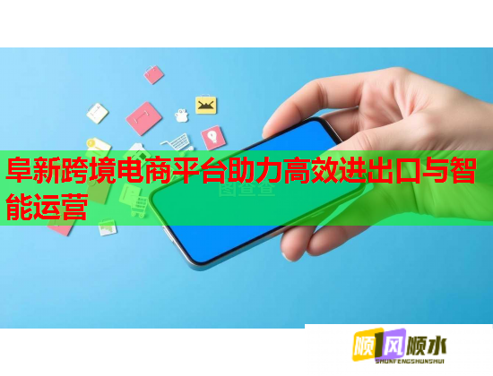 阜新跨境电商平台助力高效进出口与智能运营  第3张