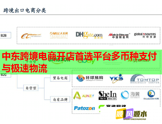 中东跨境电商开店首选平台多币种支付与极速物流  第2张