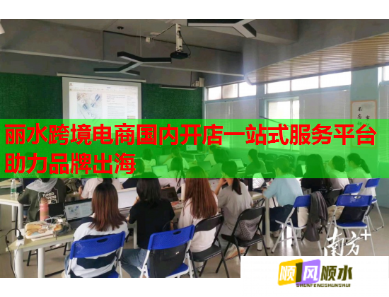 丽水跨境电商国内开店一站式服务平台助力品牌出海  第1张