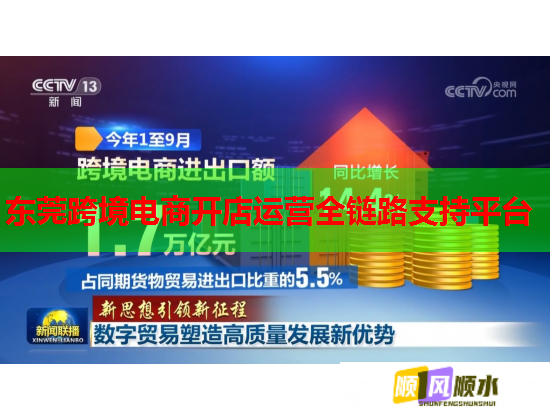 东莞跨境电商开店运营全链路支持平台  第2张