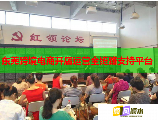 东莞跨境电商开店运营全链路支持平台  第1张