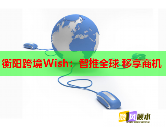 衡阳跨境Wish：智推全球 移享商机  第2张