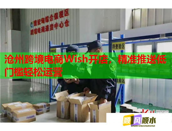 沧州跨境电商Wish开店，精准推送低门槛轻松运营  第1张