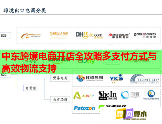 中东跨境电商开店全攻略多支付方式与高效物流支持  第2张