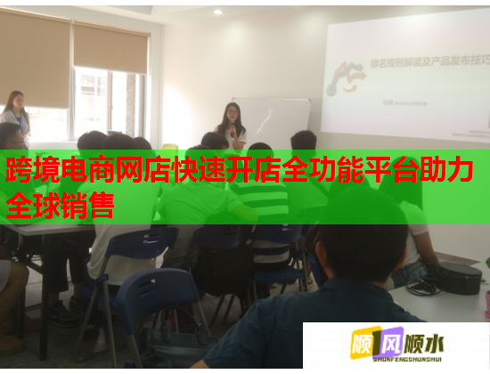 跨境电商网店快速开店全功能平台助力全球销售  第1张