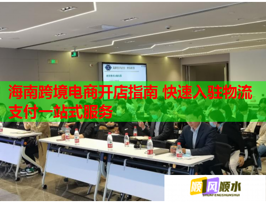 海南跨境电商开店指南 快速入驻物流支付一站式服务  第1张