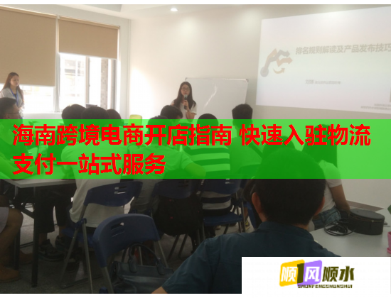 海南跨境电商开店指南 快速入驻物流支付一站式服务  第2张